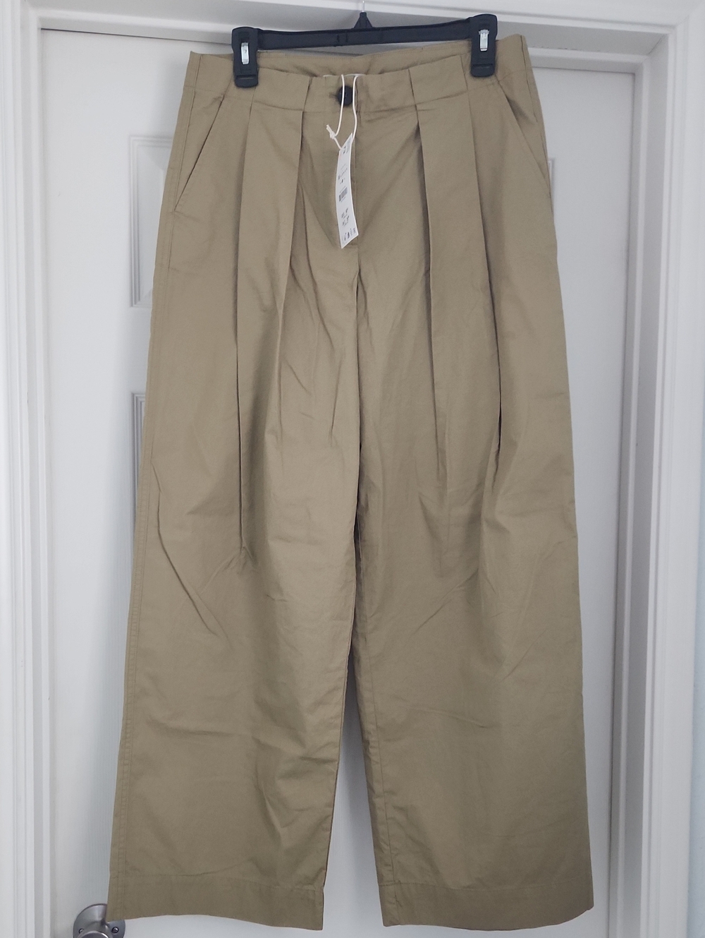 Zara Pleated Wide-Leg Pants, Size M, NWT